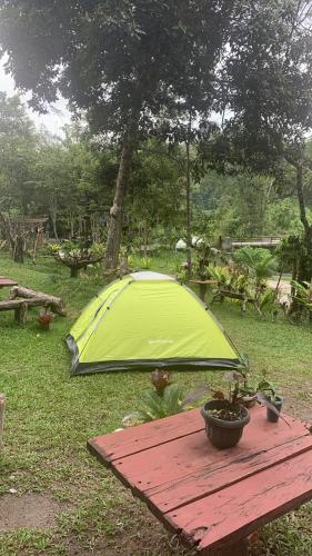 Area Camping di Coban Talun