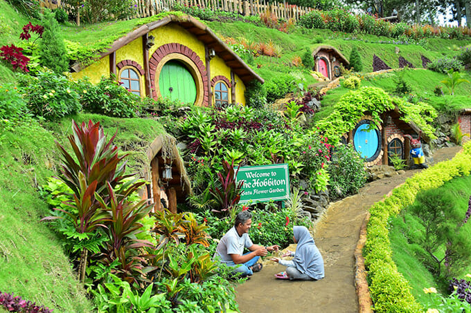 Kebun Bunga di Batu Flower Garden