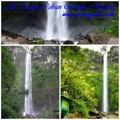 Papan Informasi Pengunjung di Coban Dudo Papan Informasi Pengunjung di Coban Dudo