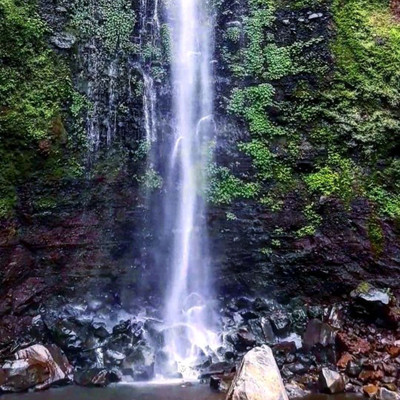 Warung Makan di Sekitar Coban Dudo Warung Makan di Sekitar Coban Dudo